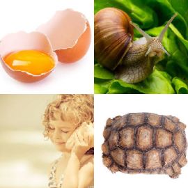 4 pics 1 word Daily puzzle August 18 2019