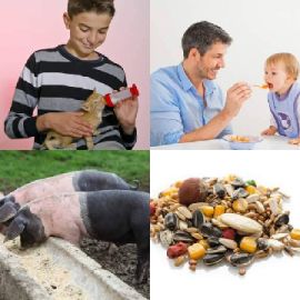 4 pics 1 word Daily puzzle September 27 2019