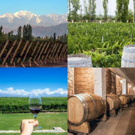 4 pics 1 word Daily puzzle November 7 2019