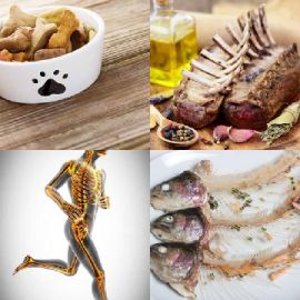 4 pics 1 word Daily puzzle August 25 2020