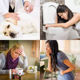 4 pics 1 word Daily puzzle November 13 2019