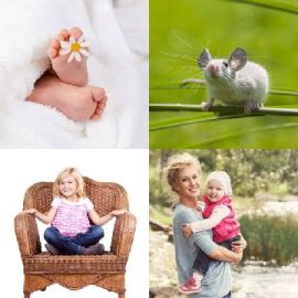 4 pics 1 word November 18 2019 Bonus puzzle