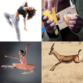 4 pics 1 word November 27 2019 Bonus puzzle