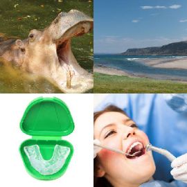 4 pics 1 word Daily puzzle September 2 2020