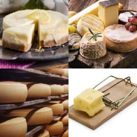 4 pics 1 word Daily puzzle September 2 2019