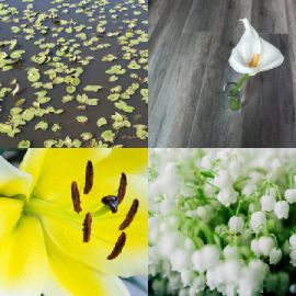 4 pics 1 word Daily puzzle June 12 2020