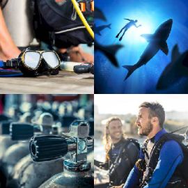 4 pics 1 word July 22 2020 Bonus puzzle