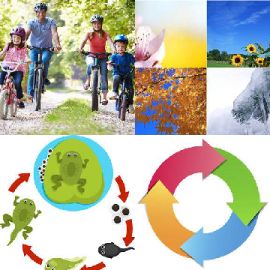 4 pics 1 word Daily puzzle February 2 2020