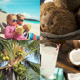 4 pics 1 word September 4 2020 Bonus puzzle