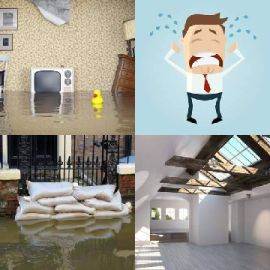 4 pics 1 word September 11 2019 Bonus puzzle