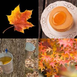 4 pics 1 word Daily puzzle September 13 2019