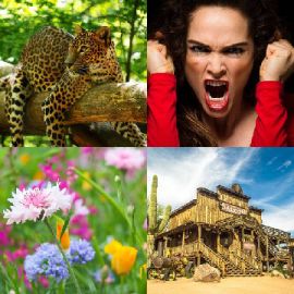 4 pics 1 word Daily puzzle January 27 2019