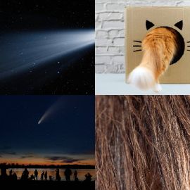 4 pics 1 word Daily puzzle September 27 2021
