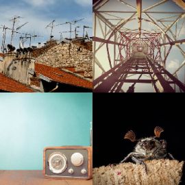 4 pics 1 word Daily puzzle September 30 2021