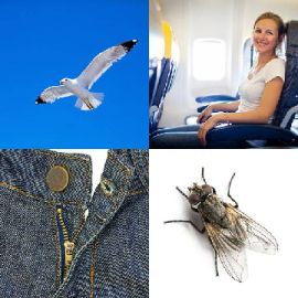 4 pics 1 word Daily puzzle November 4 2018