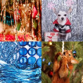4 pics 1 word Daily puzzle December 22 2020