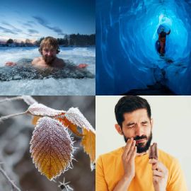 4 pics 1 word Daily puzzle December 27 2020