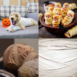 4 pics 1 word Daily puzzle October 23 2023