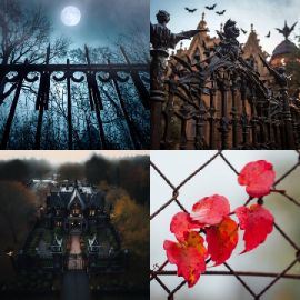 4 pics 1 word Daily puzzle October 4 2023