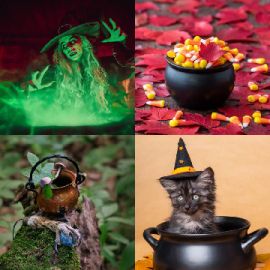 4 pics 1 word Daily puzzle October 12 2023