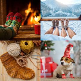 4 pics 1 word Daily puzzle December 6 2023