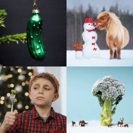 4 pics 1 word Daily puzzle December 20 2023