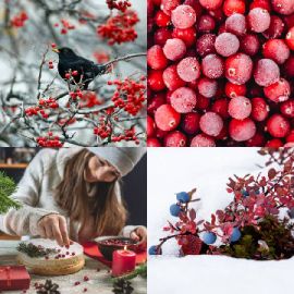 4 pics 1 word Daily puzzle December 17 2023