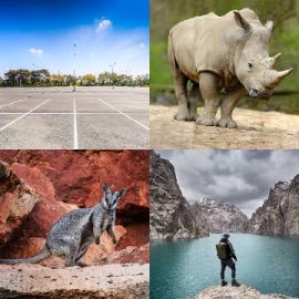 4 pics 1 word Daily puzzle January 19 2024