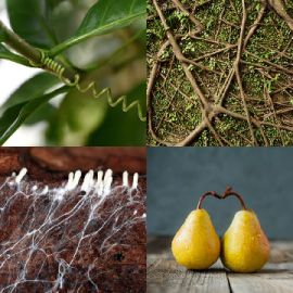 4 pics 1 word Daily puzzle March 27 2024