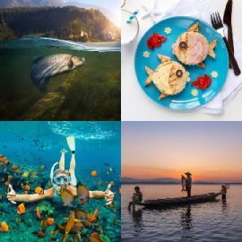 4 pics 1 word Daily puzzle July 15 2024