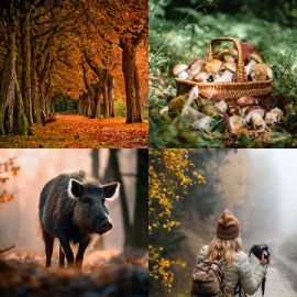 4 pics 1 word Daily puzzle October 1 2024