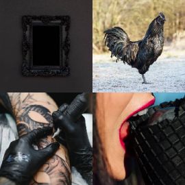 4 pics 1 word Daily puzzle November 14 2024