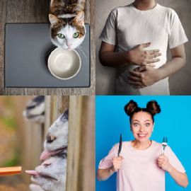 4 pics 1 word September 1 2025 Bonus puzzle