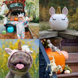 4 pics 1 word Daily puzzle October 6 2025