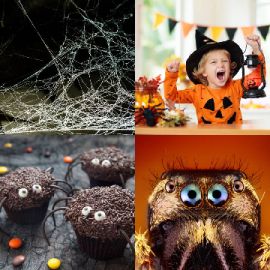 4 pics 1 word Daily puzzle October 23 2025