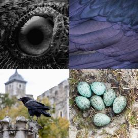 4 pics 1 word Daily puzzle October 22 2025