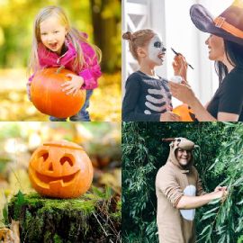 4 pics 1 word October 4 2025 Bonus puzzle