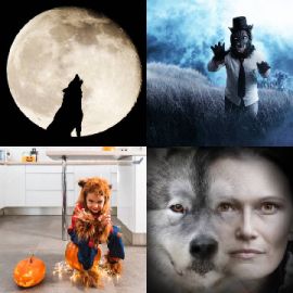4 pics 1 word Daily puzzle October 26 2025