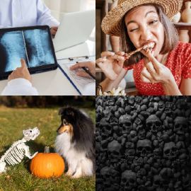 4 pics 1 word Daily puzzle October 21 2025