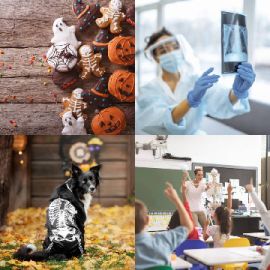 4 pics 1 word October 1 2025 Bonus puzzle