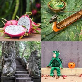 4 pics 1 word October 9 2025 Bonus puzzle