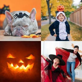 4 pics 1 word October 23 2025 Bonus puzzle