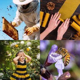4 pics 1 word Daily puzzle November 3 2025