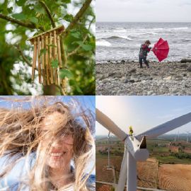 4 pics 1 word Daily puzzle November 1 2025