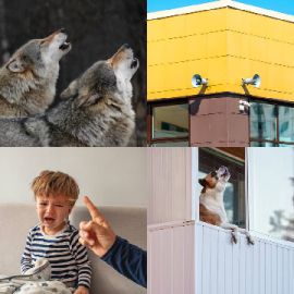 4 pics 1 word November 12 2025 Bonus puzzle