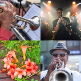 4 pics 1 word Daily puzzle November 22 2025