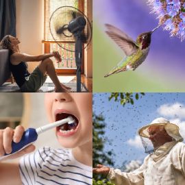 4 pics 1 word November 9 2025 Bonus puzzle