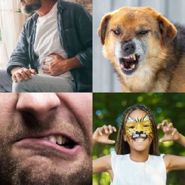 4 pics 1 word November 26 2025 Bonus puzzle