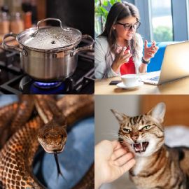 4 pics 1 word November 11 2025 Bonus puzzle