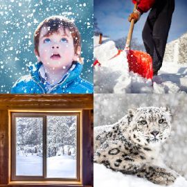 4 pics 1 word Daily puzzle December 1 2025